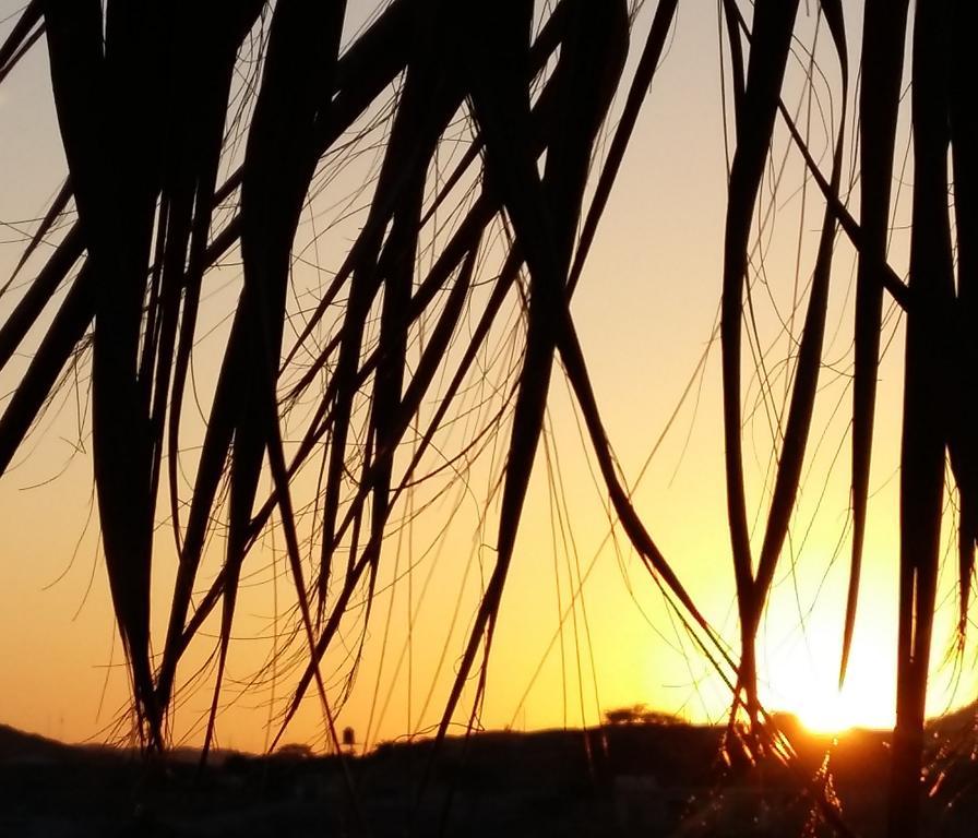 Готель Lapa Lapa Lobitos Bungalows Екстер'єр фото