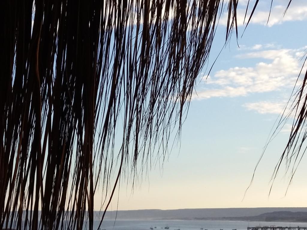 Готель Lapa Lapa Lobitos Bungalows Екстер'єр фото