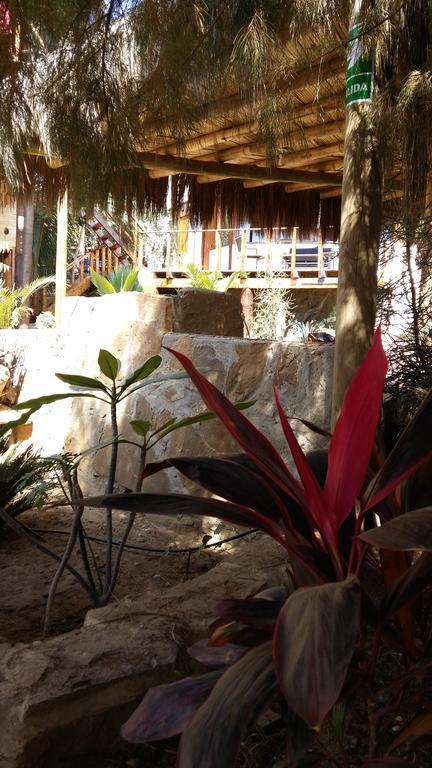 Готель Lapa Lapa Lobitos Bungalows Екстер'єр фото
