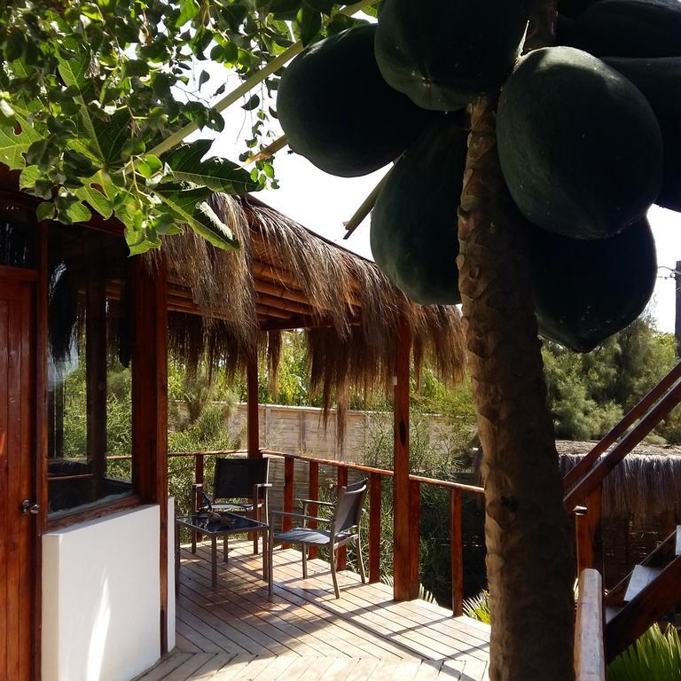 Готель Lapa Lapa Lobitos Bungalows Екстер'єр фото
